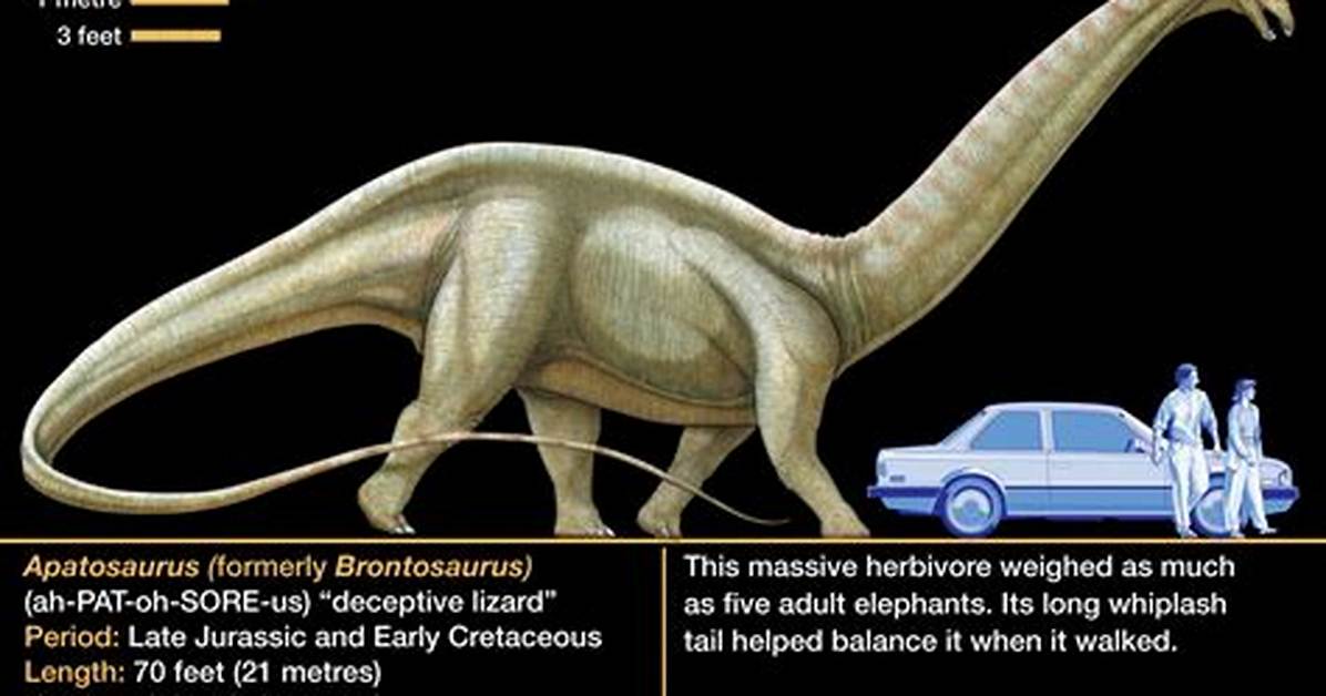Do Apatosaurus Have Teeth?