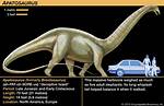 Do Apatosaurus Have Teeth?