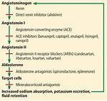 Do Arbs Cause Hyperkalemia?