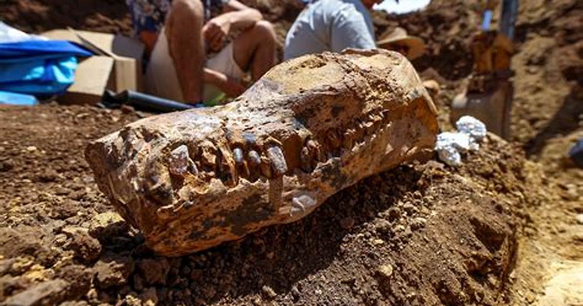 Do Archaeologists Lick Bones?
