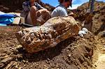 Do Archaeologists Lick Bones?