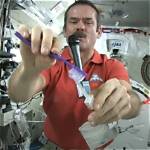 Do Astronauts Swallow Toothpaste?