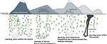 Do Avalanches Occur in Trees?