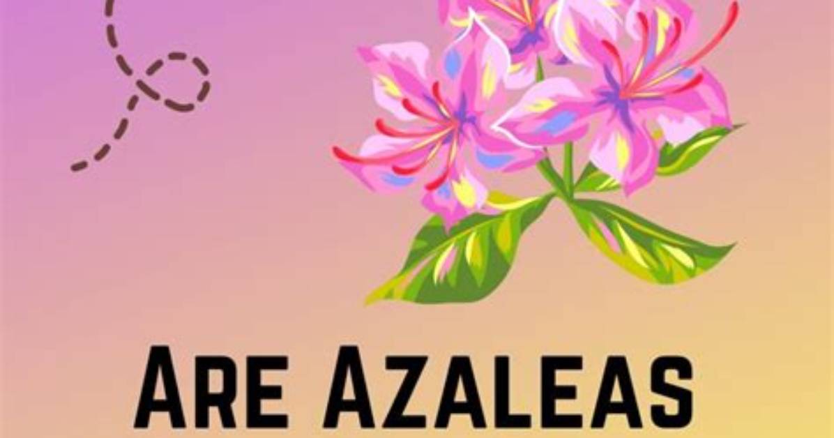 Do Azaleas Kill Bees