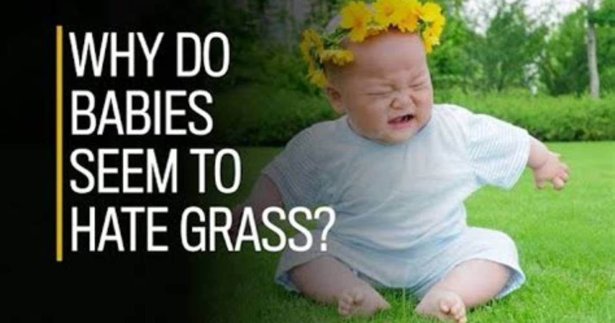 Do Babies Instinctively Avoid Grass?