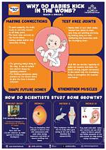 Do Babies Kick Rhythmically?