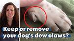 Do Back Dew Claws Fall off?