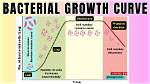 Do Bacteria Grow and Develop?