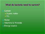 Do Bacteria Need Co2