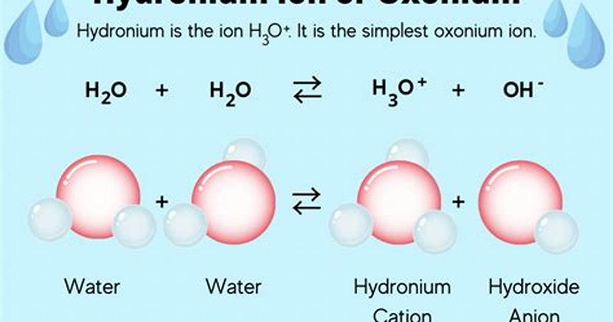 Do Basic Solutions Have Hydronium Ions?