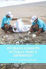 Do Beach Cleanups Make a Difference?