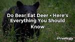 Do Bear Outrun Deer?