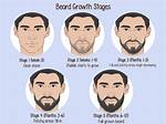 Do Beards Grow Unevenly?