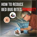 Do Bed Bug Blockers Work