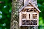 Do Bee Houses Really Work?