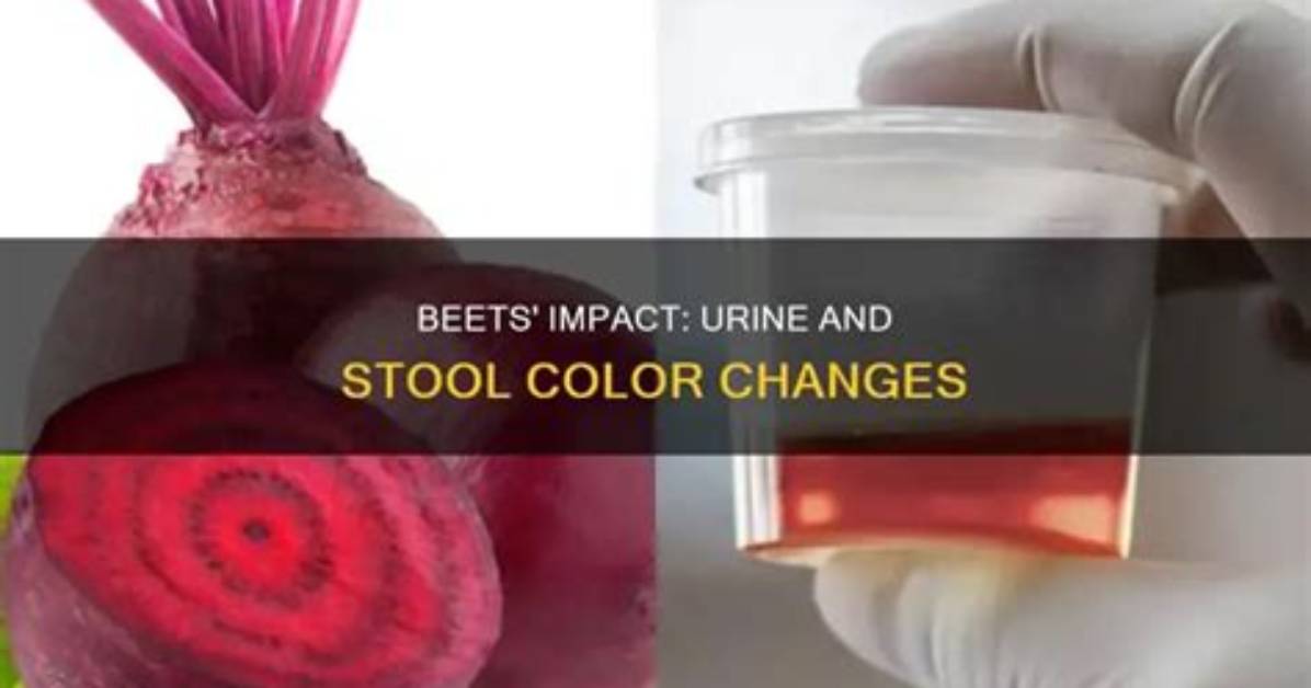 Do Beet Chips Cause Red Stools?