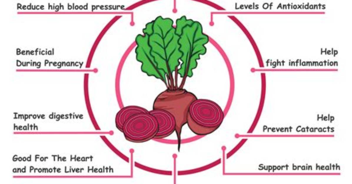 Do Beets Improve Circulation? | Contextresponse. Com
