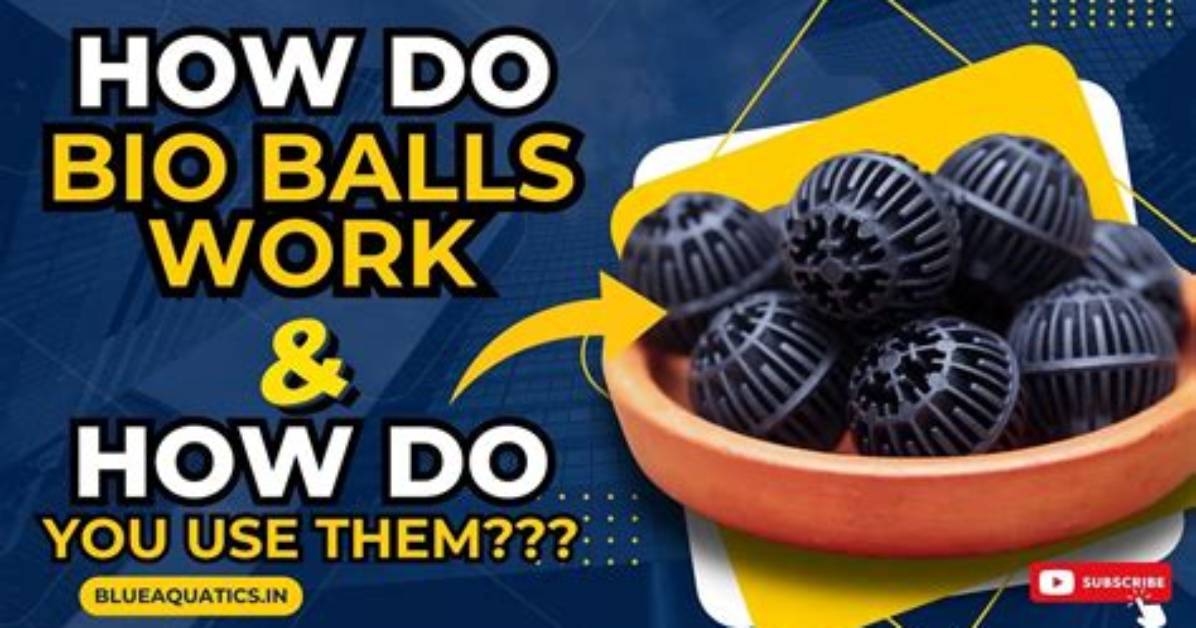 Do Bio Balls Really Work