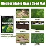 Do Biodegradable Grass Mats Work?