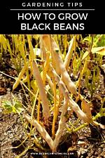 Do Black Beans Climb