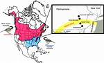 Do Black Capped Chickadees Migrate?