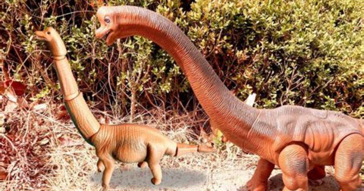 Do Brachiosaurus Lay Eggs?