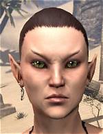 Do Bretons Have Pointed Ears?