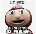 Do Buckeyes Bring Good Luck?