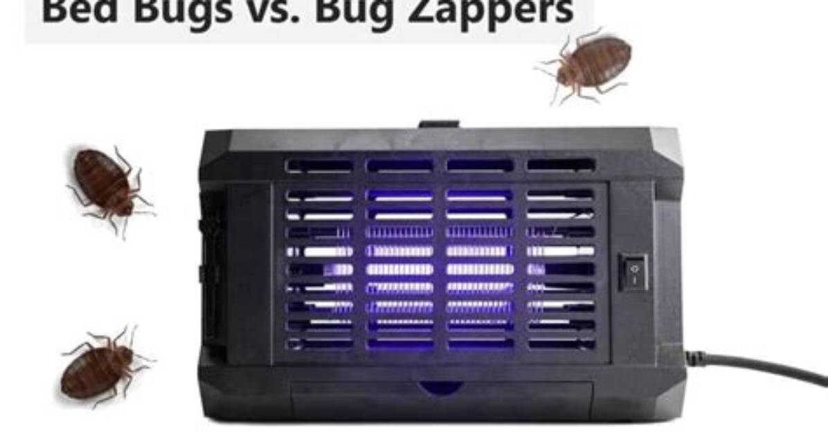 Do Bug Zappers Kill June Bugs