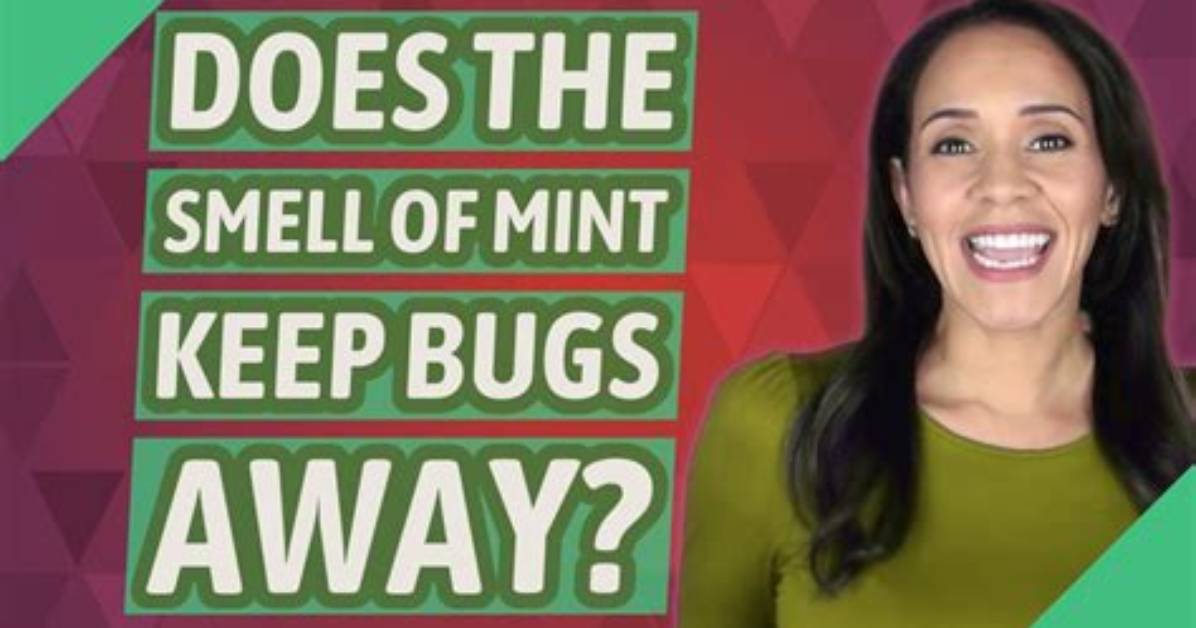 Do Bugs Like Mint