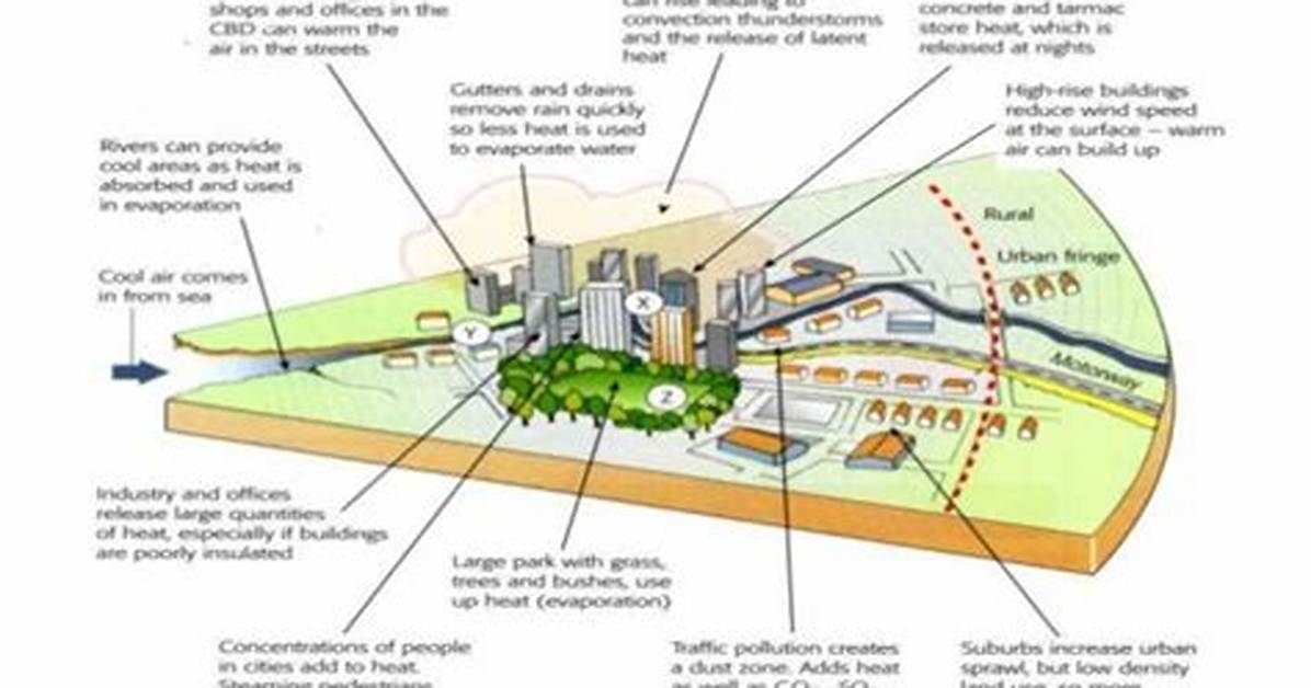 Do Buildings Affect Microclimates?