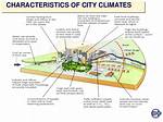 Do Buildings Affect Microclimates?