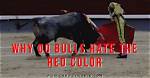 Do Bulls Hate Red