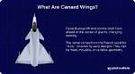 Do Canards Do Anything?
