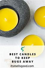 Do Candles Keep Bugs Away?
