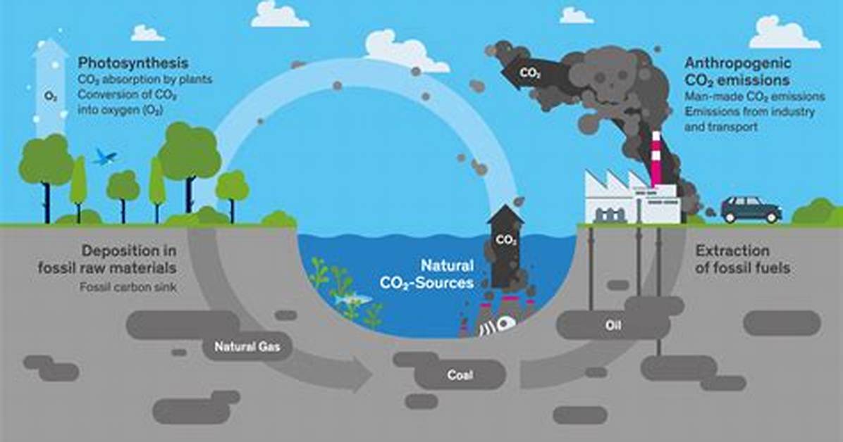 Do Carbon Dioxide Come?