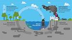 Do Carbon Dioxide Come?