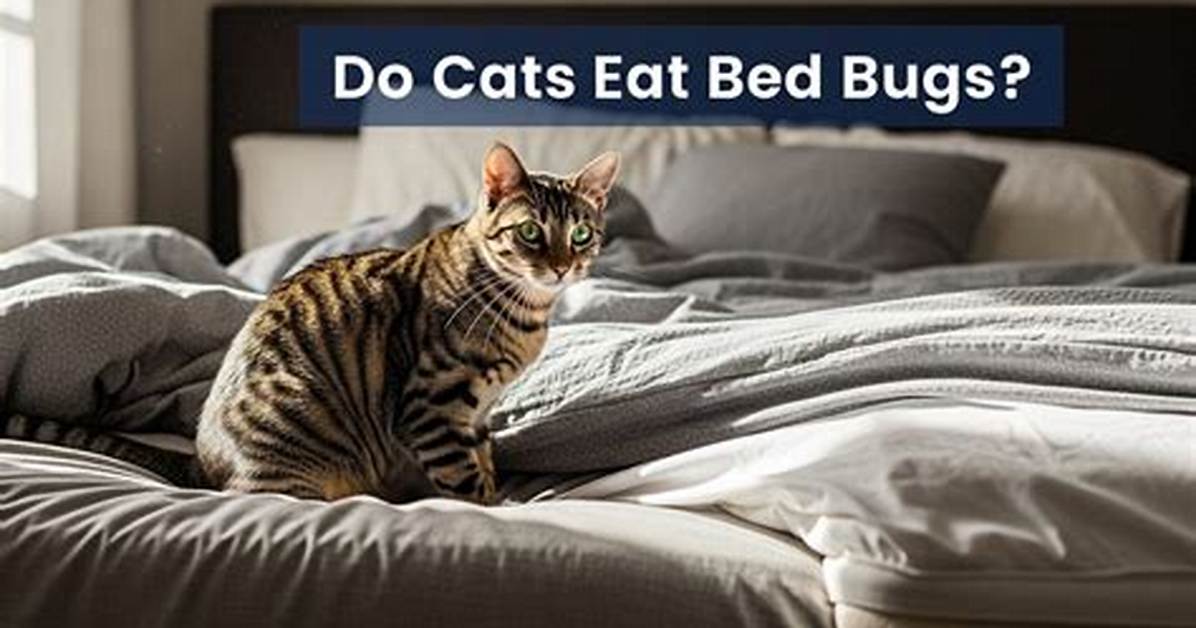 Do Cat Eat Bed Bugs?