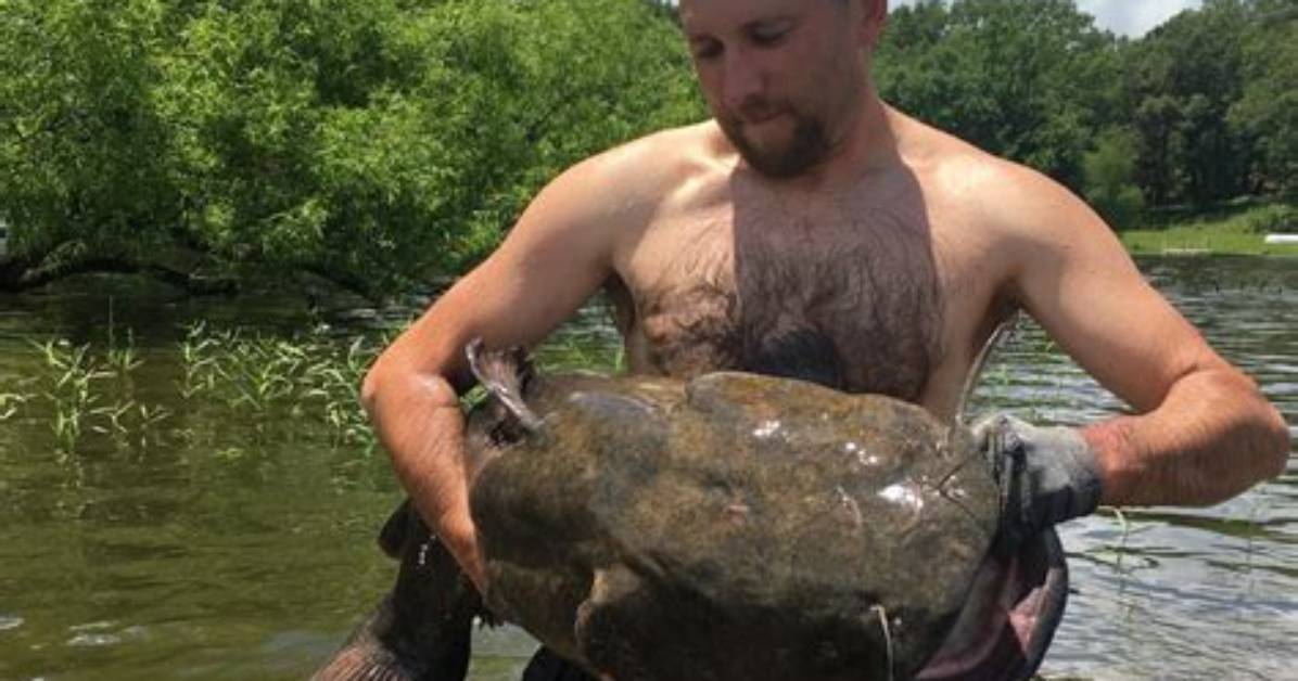 Do Catfish Bite Noodling?