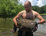 Do Catfish Bite Noodling?