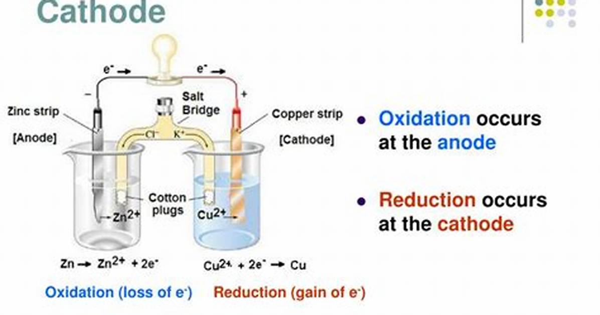 Do Cathode Lose Electrons?