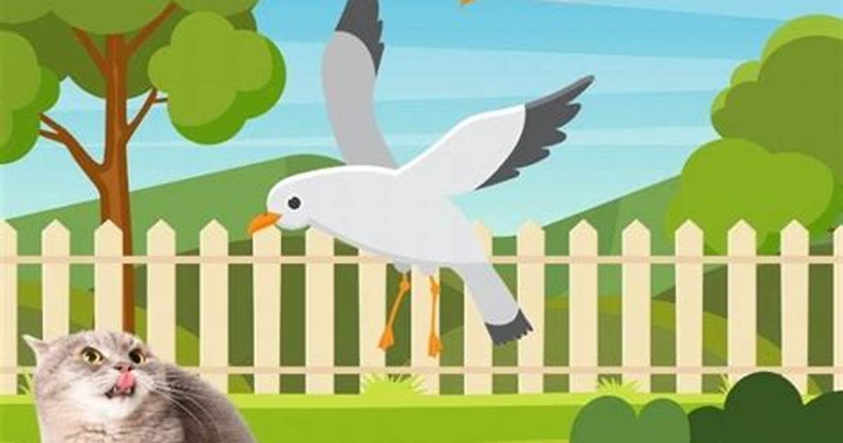 Do Cats Attack Seagulls