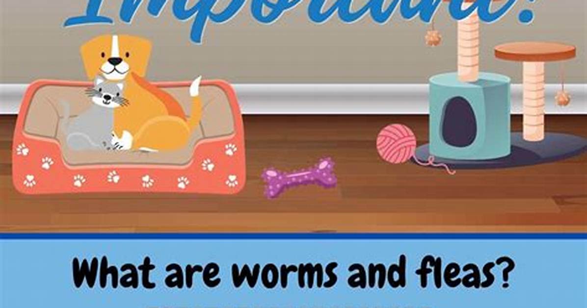 Do Cats Need Fleaing?