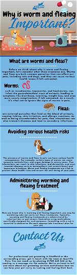 Do Cats Need Fleaing?