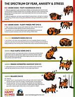 Do Cats Relieve Stress?