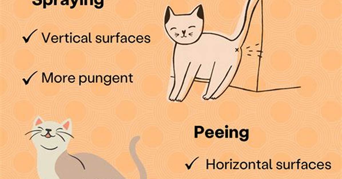 Do Cats Spray