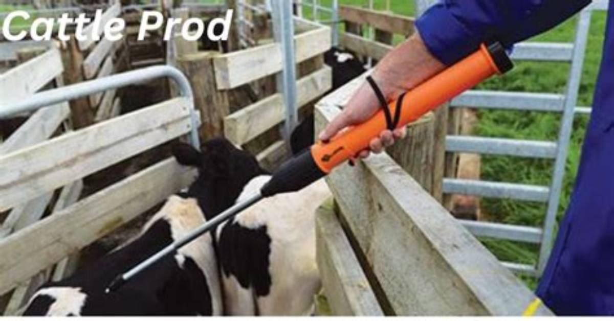 Do Cattle Prods Work?