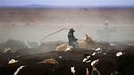 Do Cattle Rustlers Still Exist?