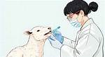 Do Cetaphil Test on Animals?