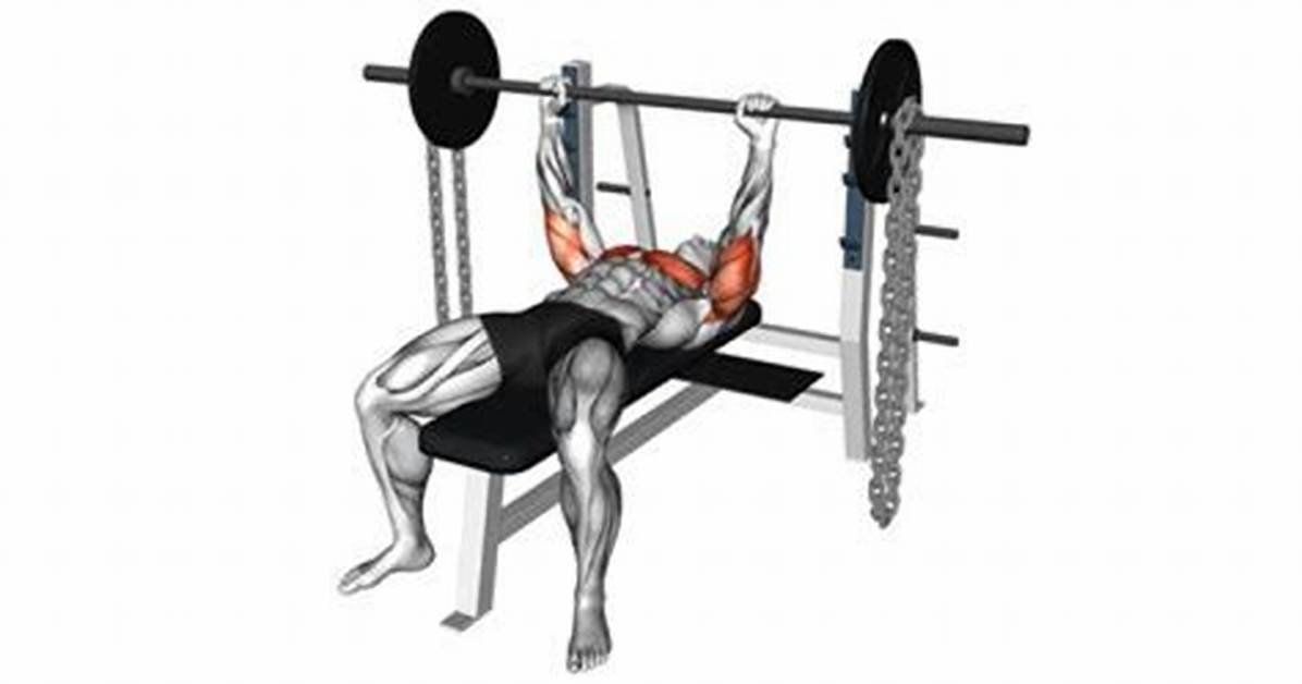 Do Chains Help Bench Press